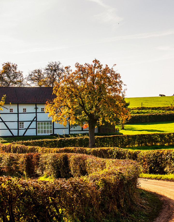 Een weggetje tussen een heg langs een vakwerkhuis en herfstbomen
