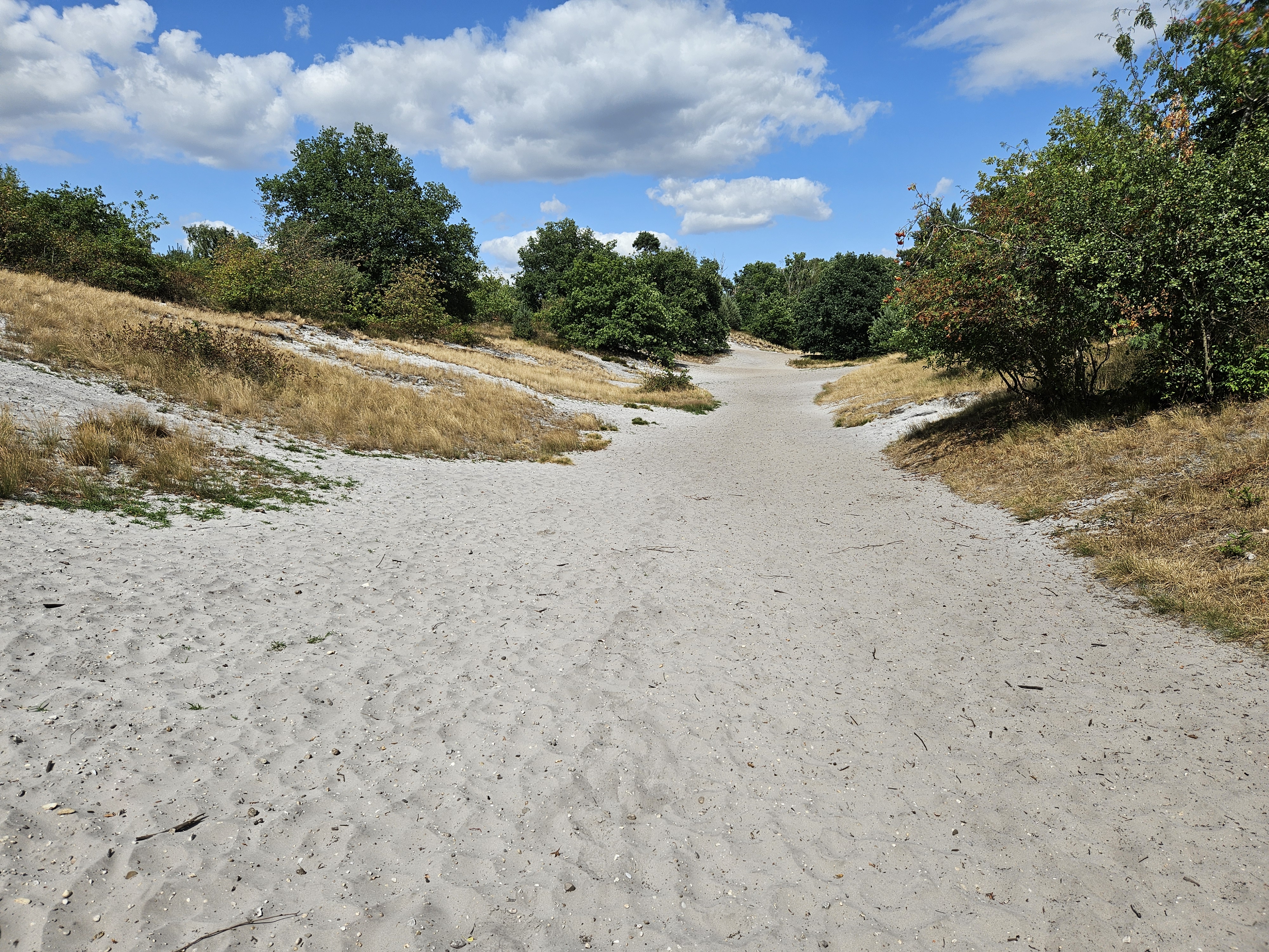 Mindful Stilte Wandeling - Verstilling & Verbinding