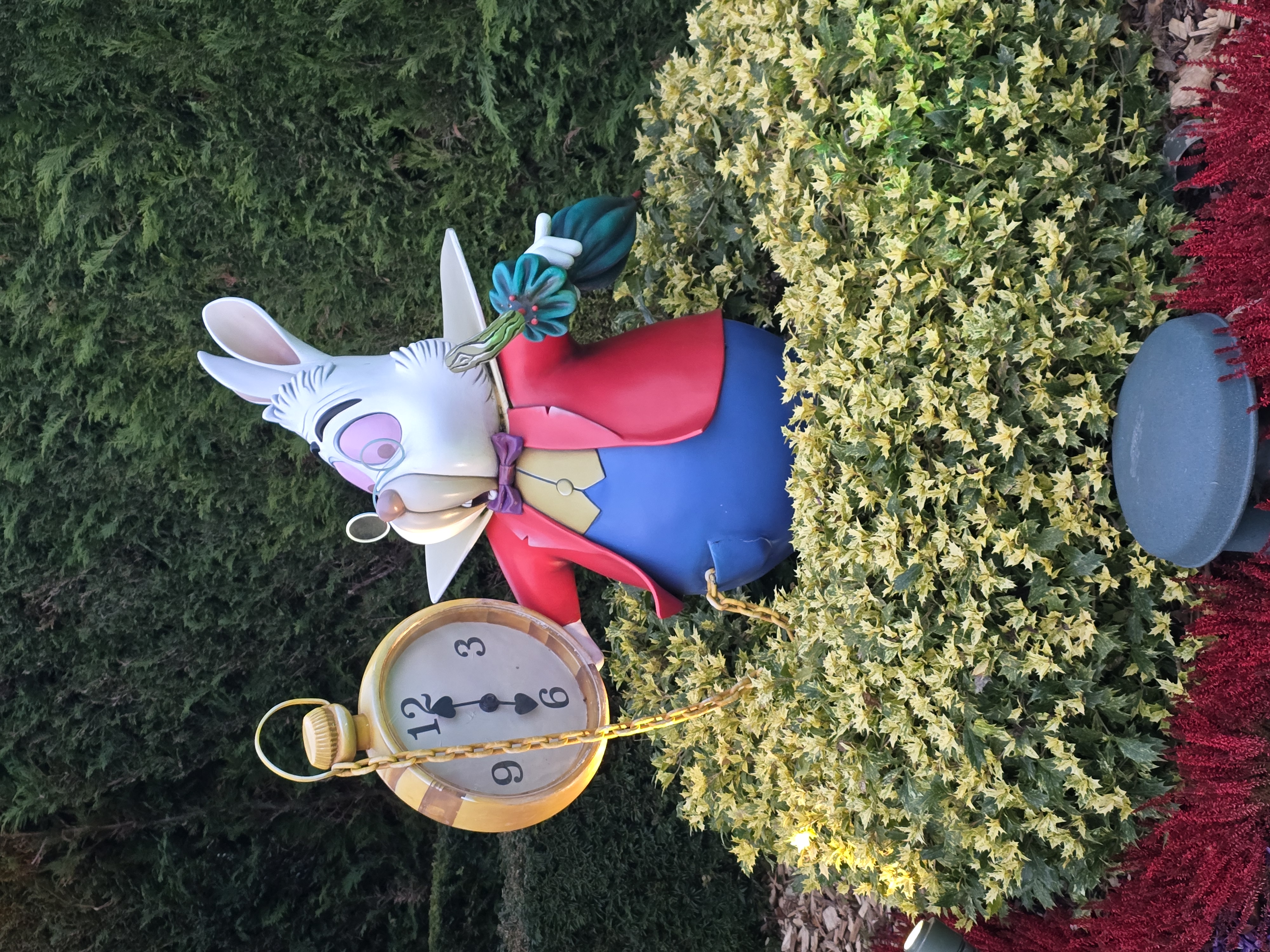 Disney Markt