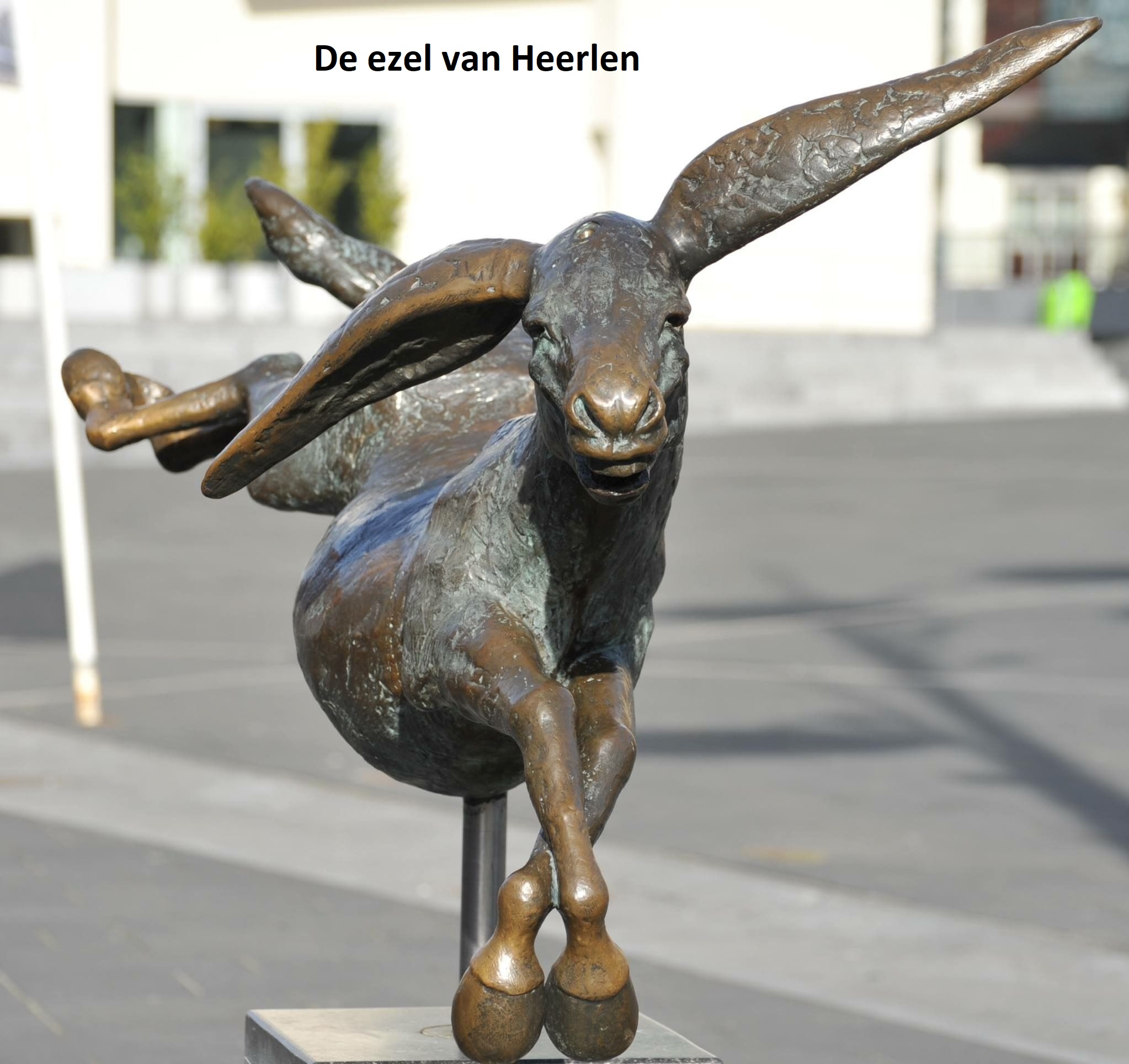 Elf bijzondere themawandelingen voor het goede doel in Heerlen